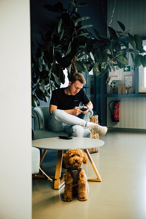 Webdesigner mit Hund in der Imagefilm Agentur